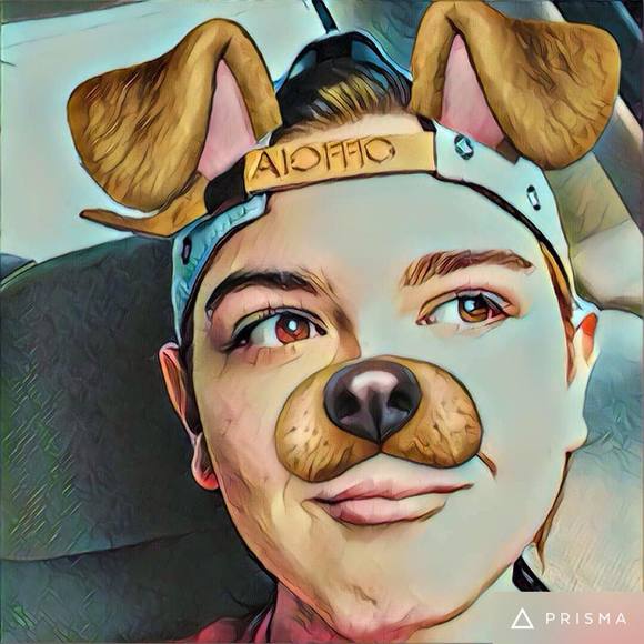 Meet your Posher, Spencer - Picture 1 of 1